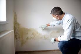 Best Water Damage & Mold Remediation  in Laurie, MO